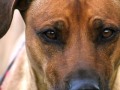 20120501_Leo_01_WebMWZ