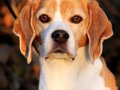 20121113_Nelly_03_WebMWZ
