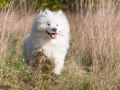 20221030_Finn_338_Web