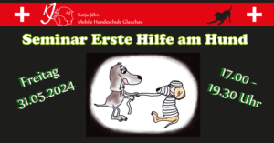 1. Hilfe Seminar @ Hundetrainingsplatz | Glauchau | Sachsen | Deutschland