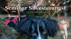 Seminar Silvesterangst @ Hundetrainingsplatz | Glauchau | Sachsen | Deutschland